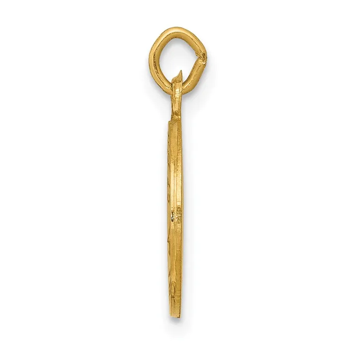 TreasureFineJewelers Charm Necklaces 14k Yellow Gold Saint Elizabeth Seton Medal Charm